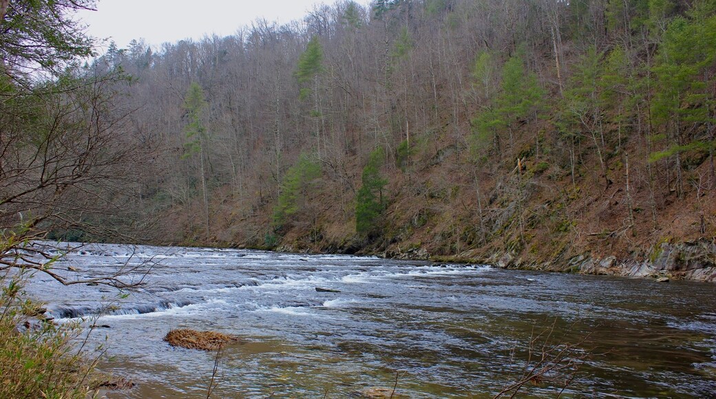 The Tellico River renowned for its brook, brown, and rainbow trout fishing. This view is from the Cherohala Skyway.