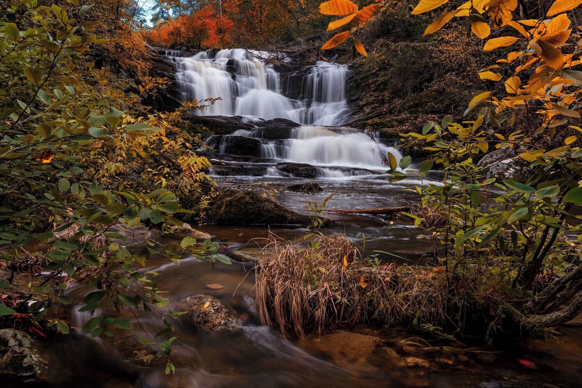 Top 10 Hotels in Madisonville, TN (from $61) 2026 - Competitive Prices ...