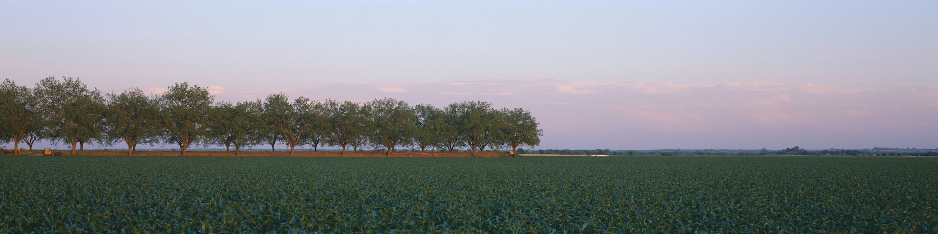 Farm Fields outside of San Antonio, Texas