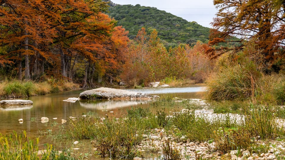 A river with rocks and autumn-colored trees.