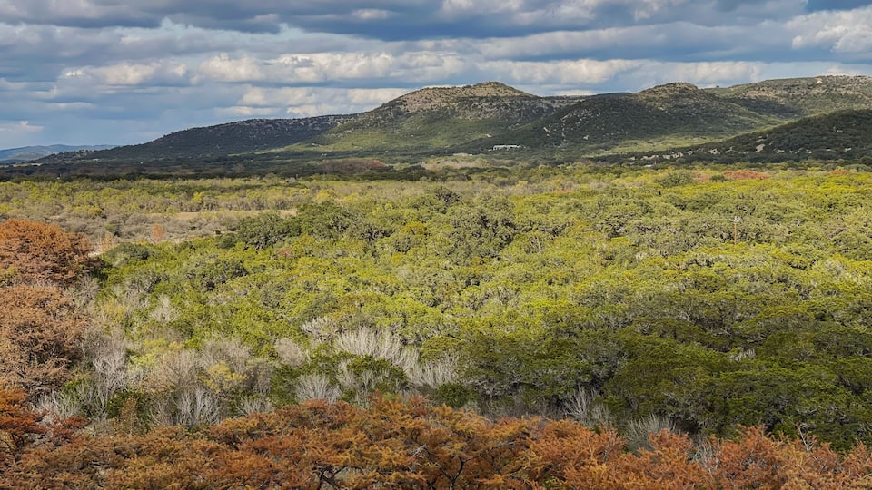 A mountainous landscape with dense green vegetation and autumn-colored trees.