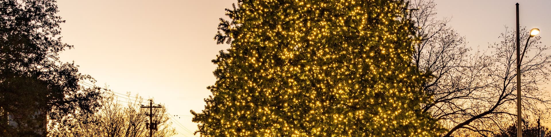 Twinkling lights forming Christmas Tree in park each December in Johnson City, Texas