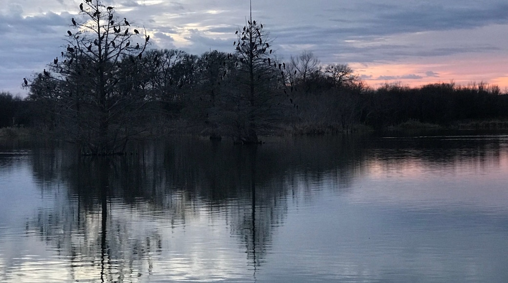 Walking one afternoon. So eery. But nice sunset.