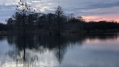 Walking one afternoon. So eery. But nice sunset.