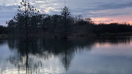 Walking one afternoon. So eery. But nice sunset.