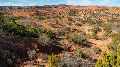 Caprock Canyons State Park, in the eastern edge of the Llano Estacado in Briscoe County, Texas