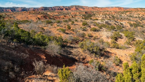 Caprock Canyons State Park, in the eastern edge of the Llano Estacado in Briscoe County, Texas