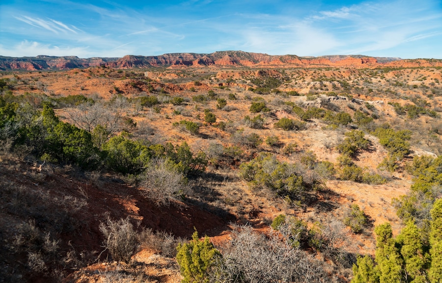 Caprock Canyons State Park, in the eastern edge of the Llano Estacado in Briscoe County, Texas