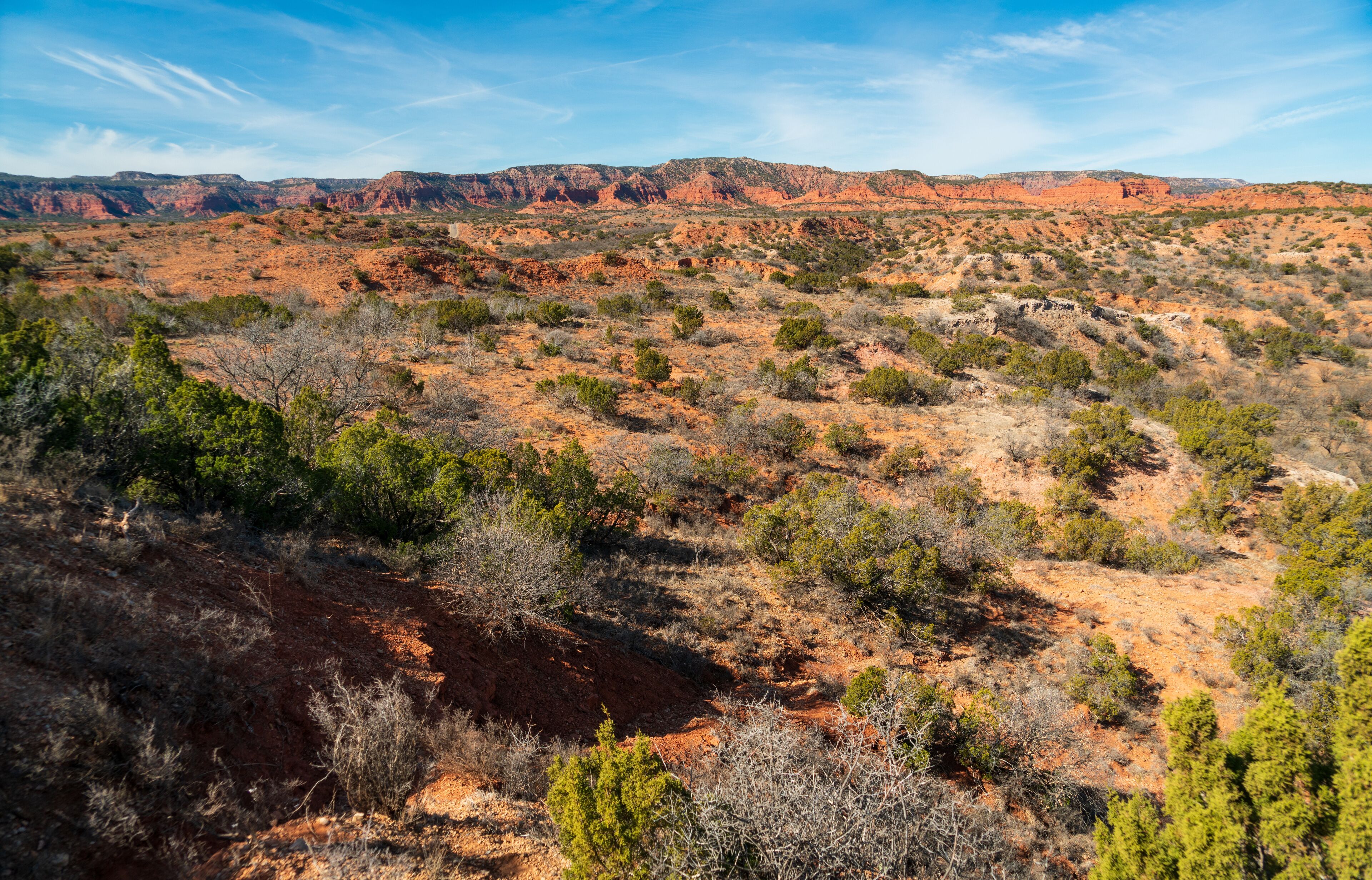 A desert landscape with sparse vegetation, red rock formations, and a clear blue sky.