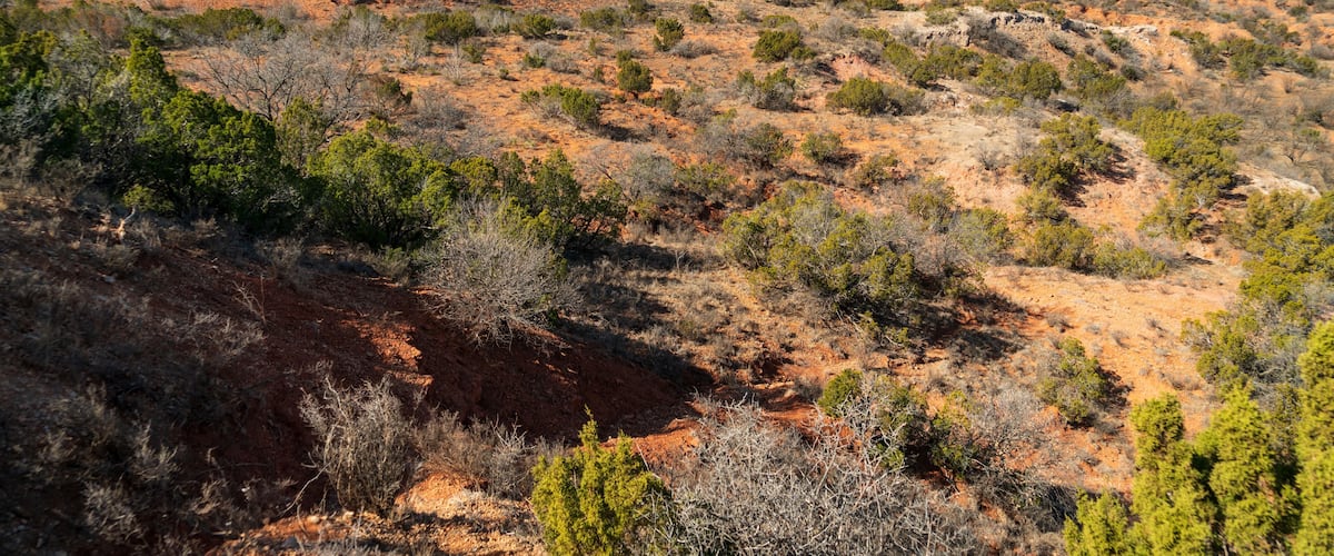 A desert landscape with sparse vegetation, red rock formations, and a clear blue sky.
