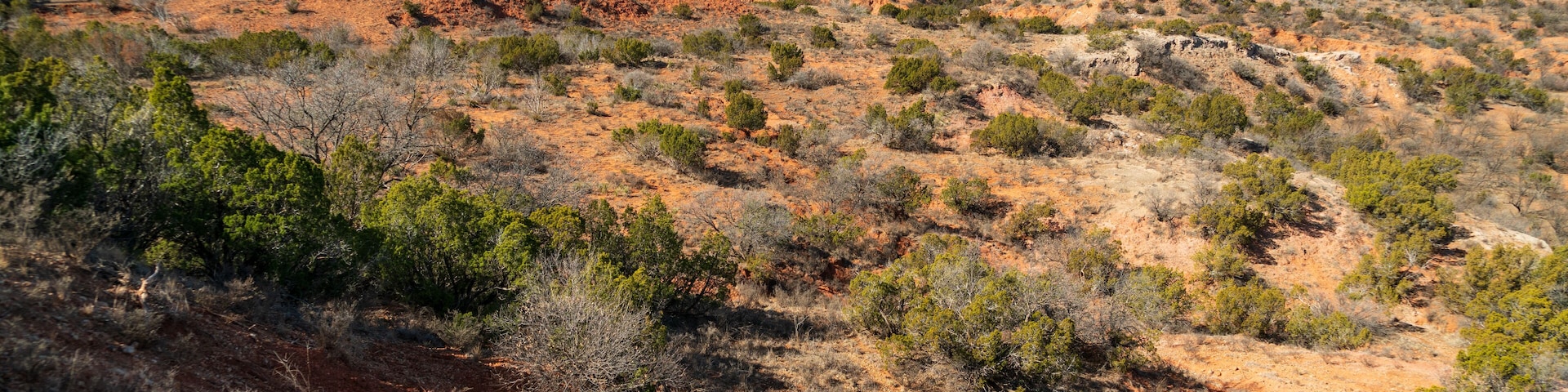 Caprock Canyons State Park, in the eastern edge of the Llano Estacado in Briscoe County, Texas