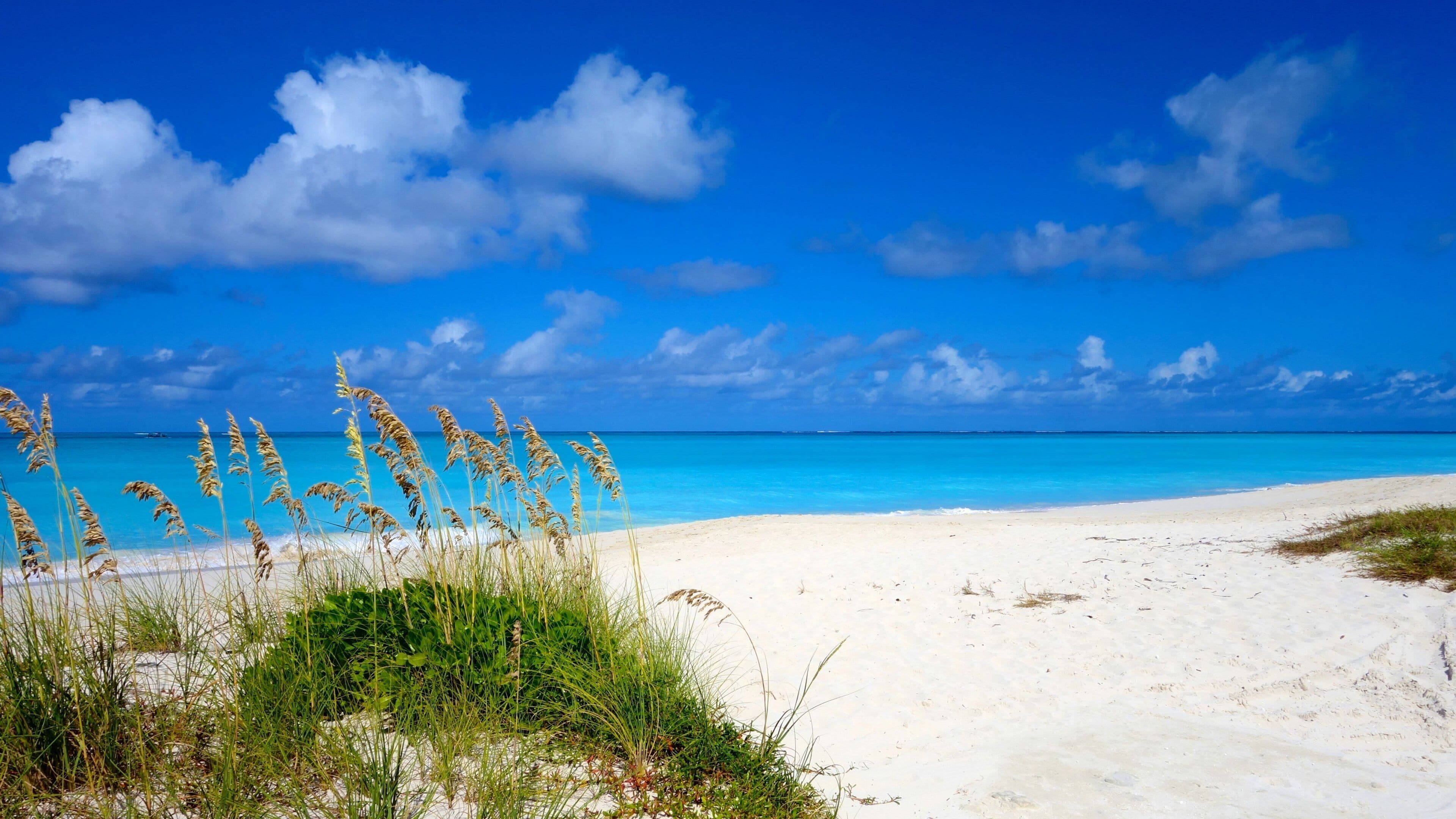 Turks- und Caicos-Inseln mit einem tropische Szenerien und Strand