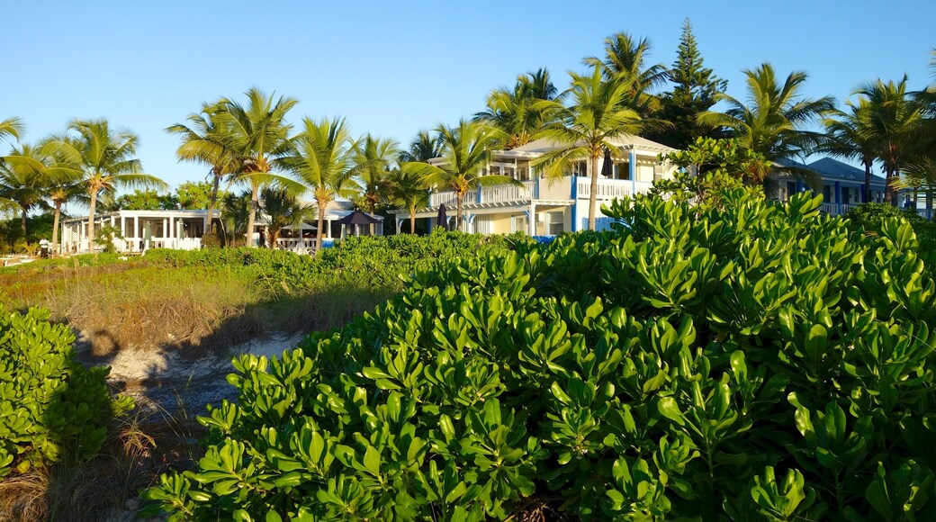 Turks- und Caicos-Inseln das einen Haus, allgemeine Küstenansicht und Küstenort