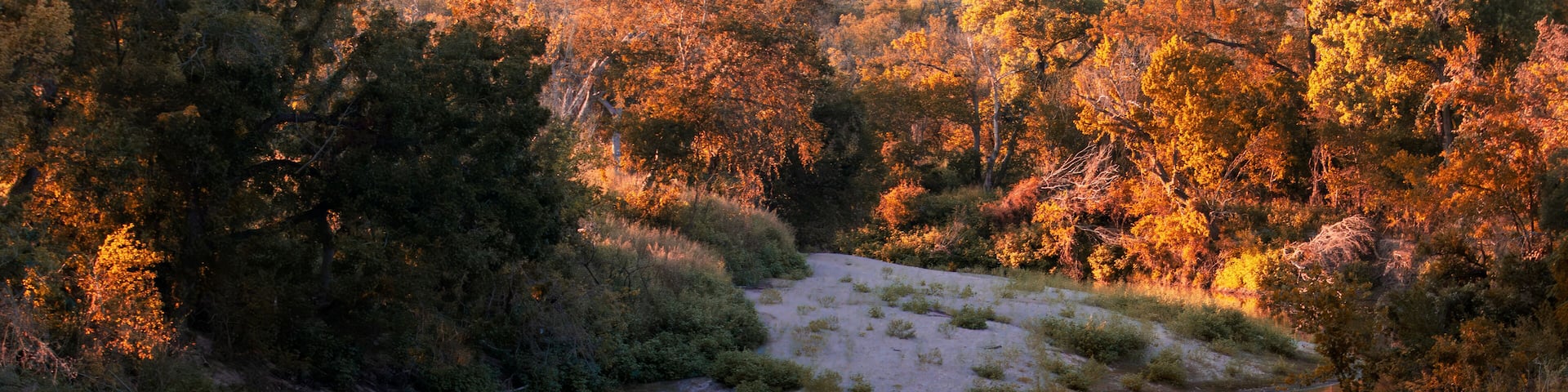 The Lampasas River in the Texas Hill Country, is framed by a sandy shoreline and lush autumn foliage. The vibrant orange, red, and yellow hues, along with their reflections in the calm water.