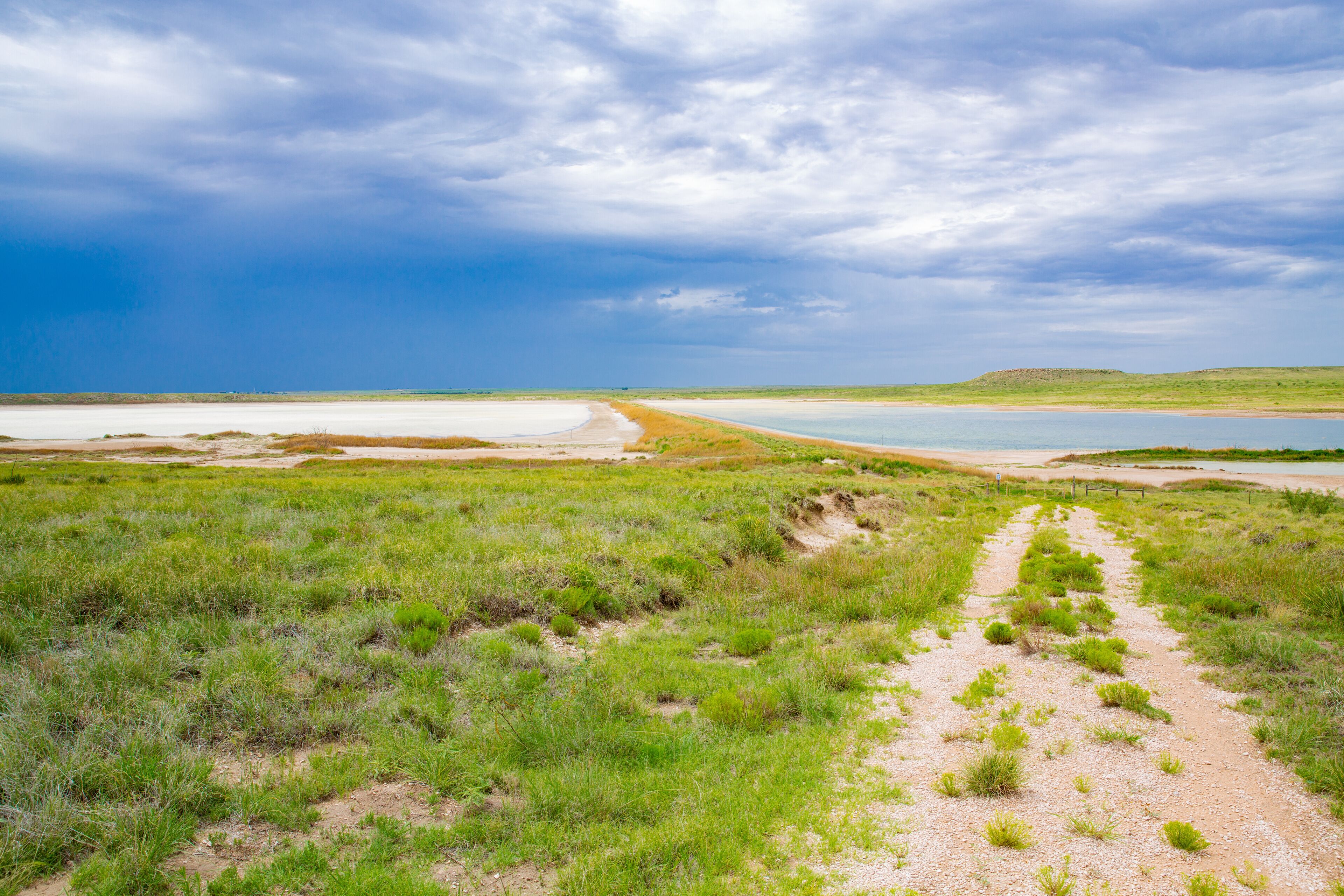 Muleshoe National Wildlife Refuge in Texas, USA