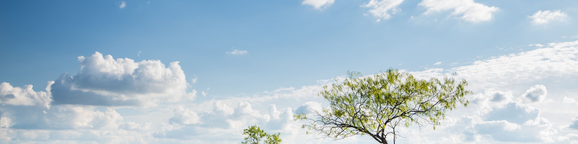 Texas Bluebonnet filed and farmland in Ennis