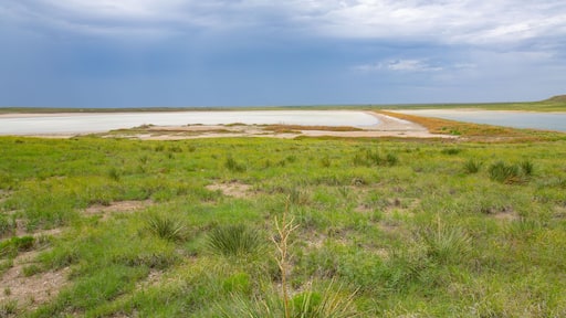 Muleshoe National Wildlife Refuge in Texas, USA