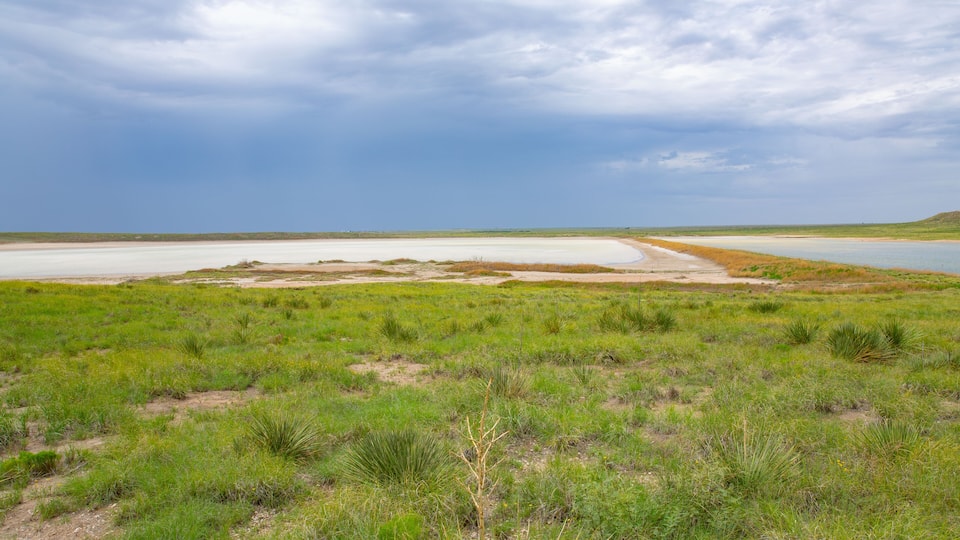 A coastal landscape with a sandy beach, grassy dunes, and a calm sea under a cloudy sky.