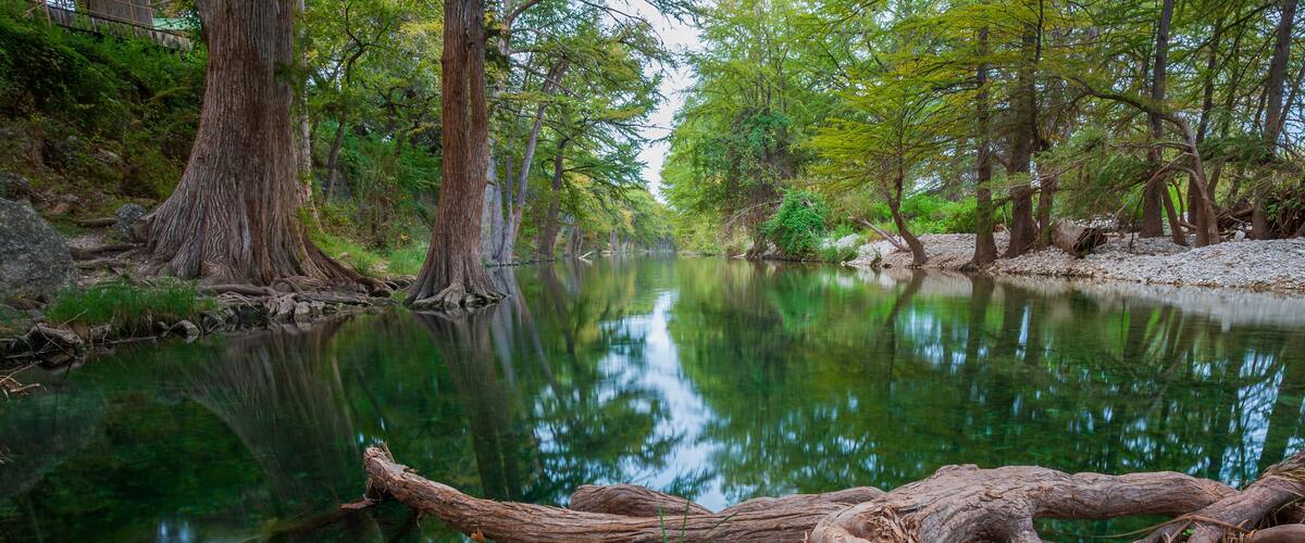 A calm river surrounded by dense forest with large trees and a fallen log in the foreground.