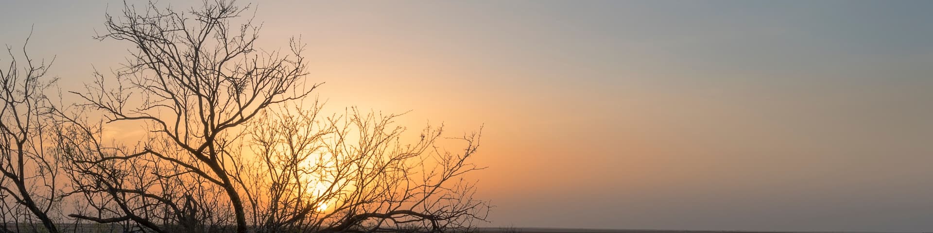 A sunset over a dry grassland with sparse trees silhouetted against the sky.