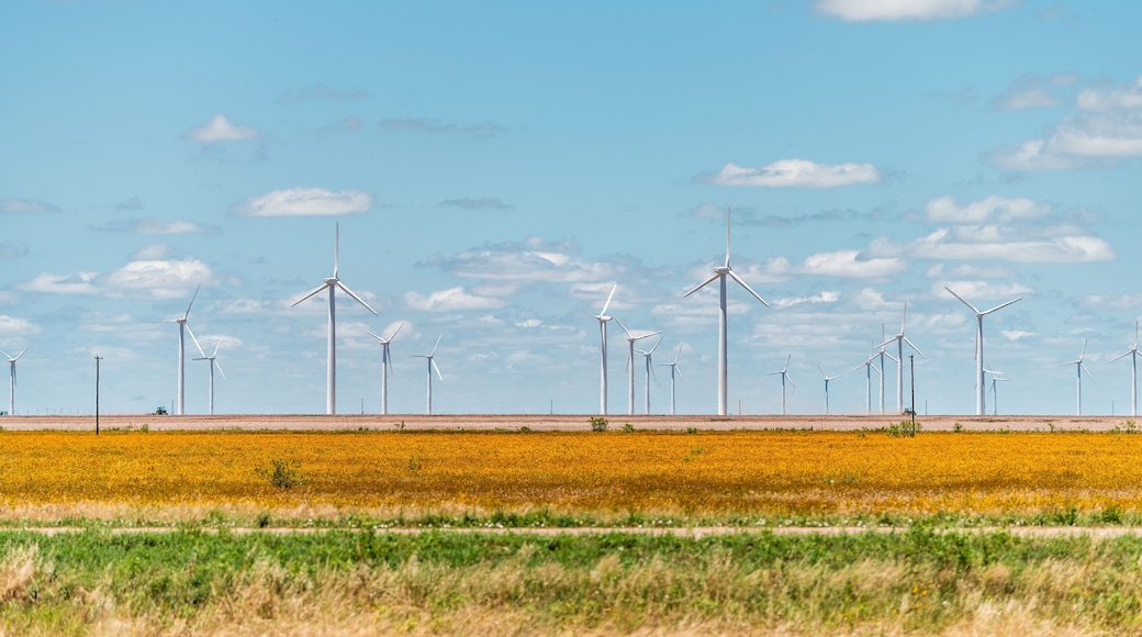 Wind turbine farm generator near Roscoe or Sweetwater Texas in USA in prairie with rows of many machines for energy