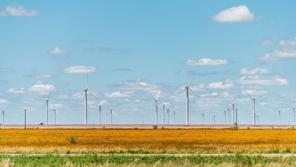 Wind turbine farm generator near Roscoe or Sweetwater Texas in USA in prairie with rows of many machines for energy
