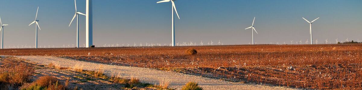 Wind Farm in a Cotton Field with angled light