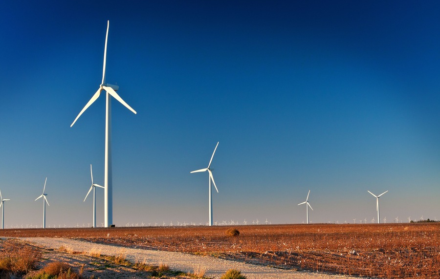 Wind Farm in a Cotton Field with angled light
