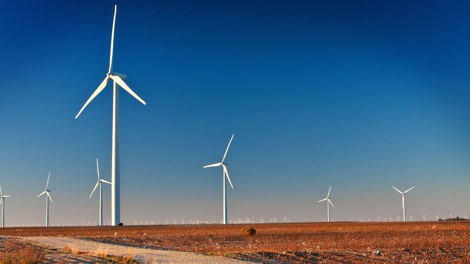 Wind Farm in a Cotton Field with angled light