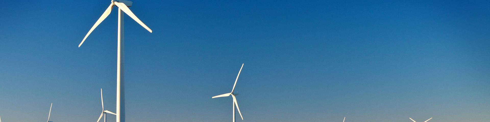 Wind Farm in a Cotton Field with angled light