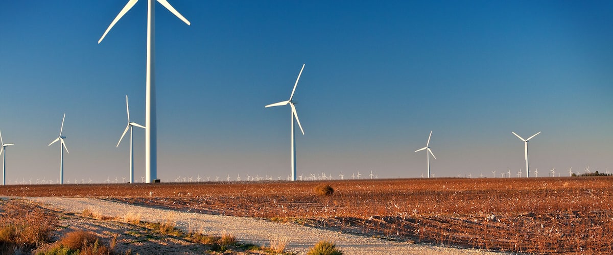 Wind Farm in a Cotton Field with angled light