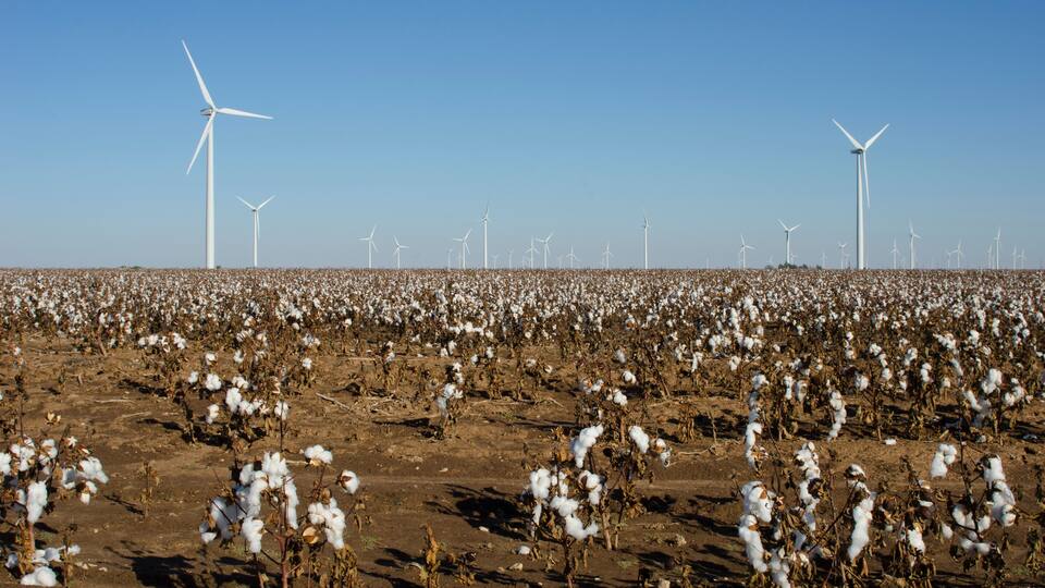 Brazos Wind Farm in Cotton Fields