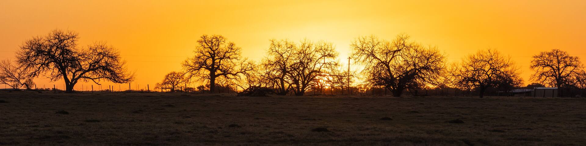 A golden sunrise in south Texas.