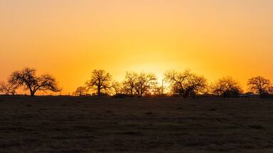 A golden sunrise in south Texas.