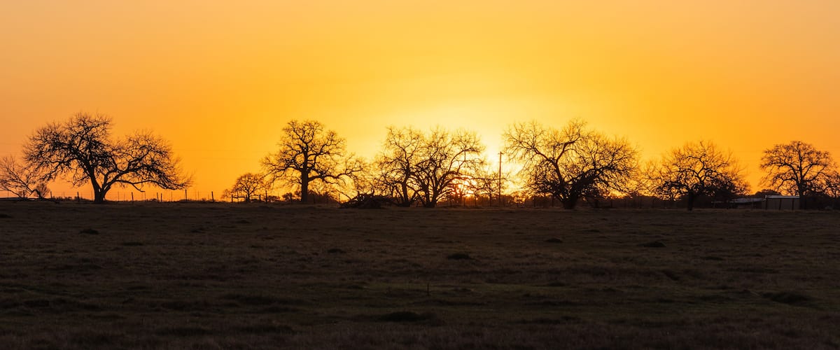 A sunset over a field with leafless trees silhouetted against a vibrant orange sky.