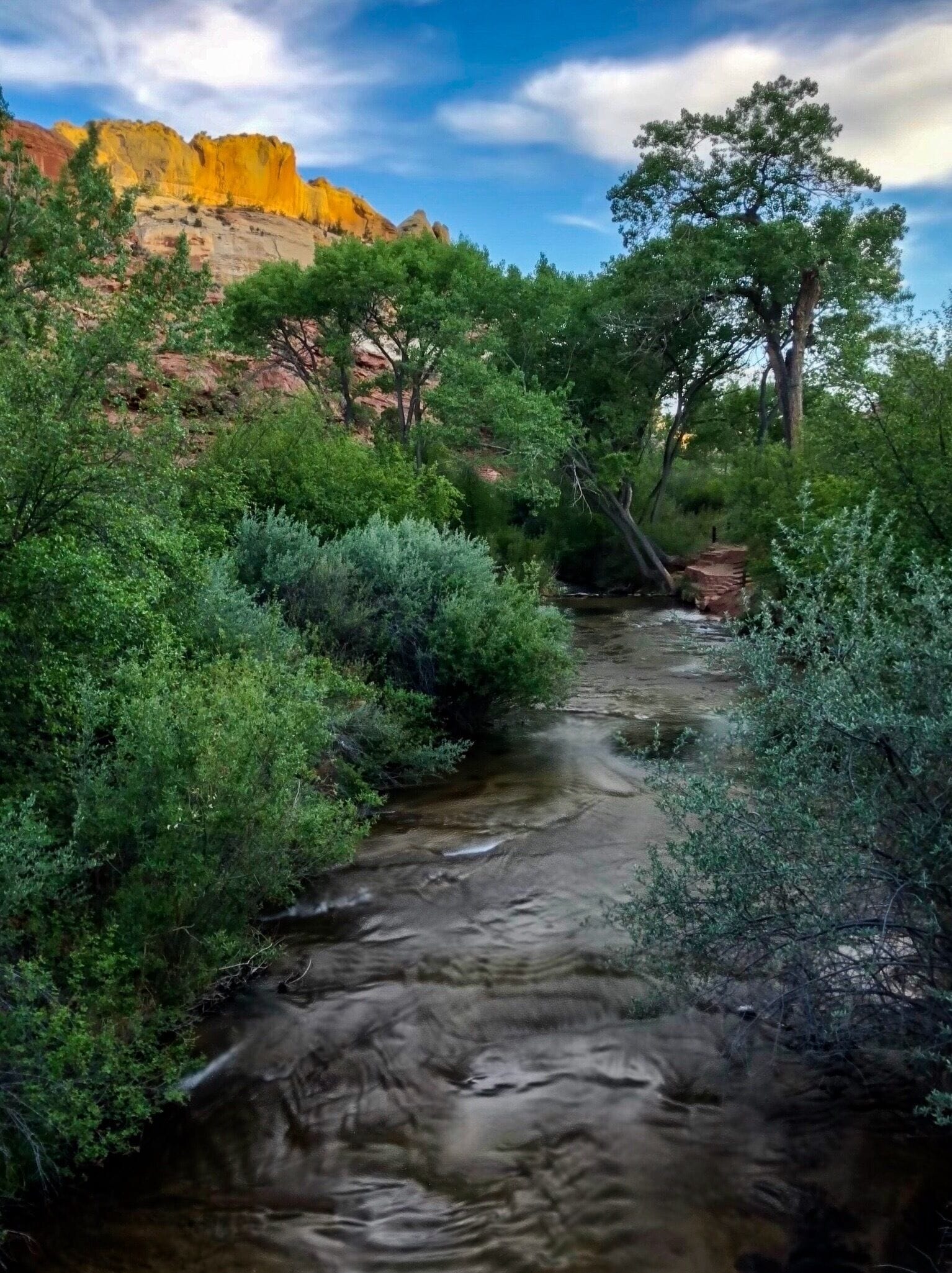 A river flowing through a canyon with green vegetation and a large tree on the right.