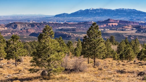 I traveled Utah's Scenic Byway 12 on my way to Bryce Canyon National Park from Moab. This 200km stretch of single-lane highway through canyons, plateaus and valleys reaches an elevation of 9,000 feet and offers nearly continuous views of some of the most interesting landscape I've ever seen.