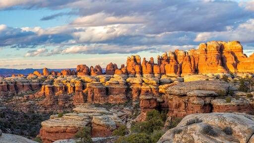Golden Hour Elephant Canyon Needles Panorama
