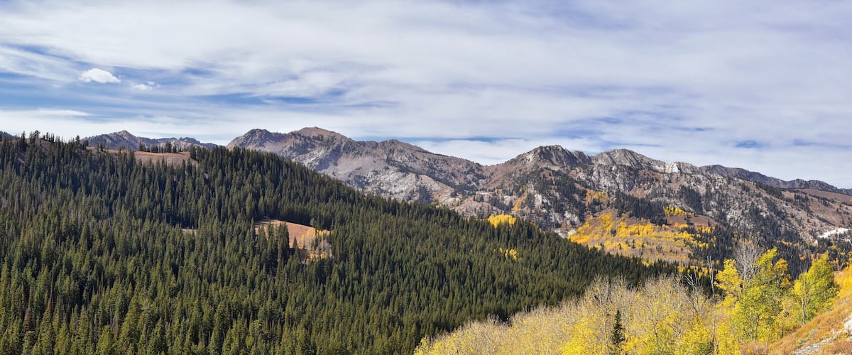 Guardsman Pass views of Panoramic Landscape of the Pass from the Brighton side by Midway and Heber Valley along the Wasatch Front Rocky Mountains, Fall Leaf Forests bright orange and yellow colors. Ut