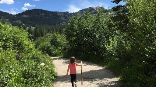 My little 4 yr old leading the charge