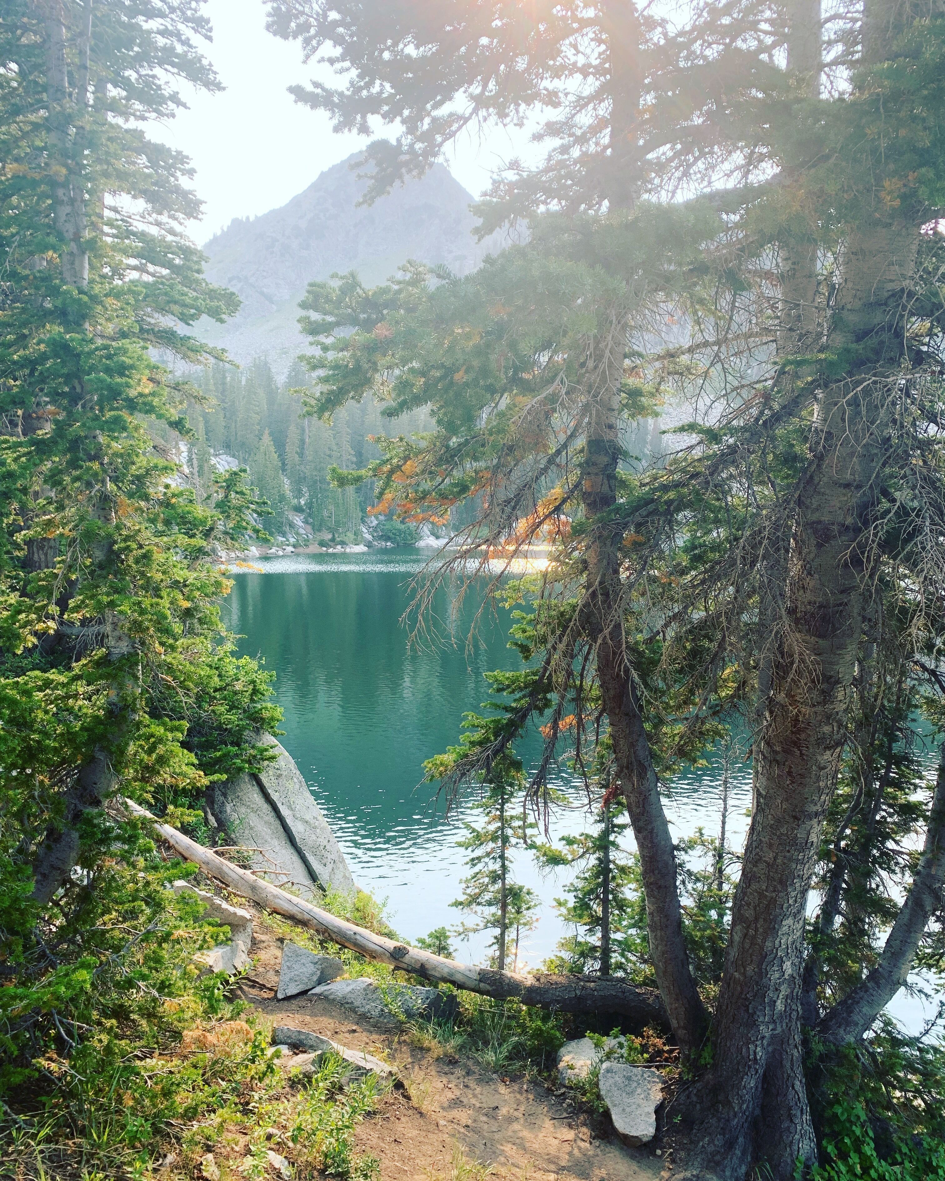 Mountain Adventures are what life is all about. The view is the Lake, nestled back in the trees. My heaven. #Adventure