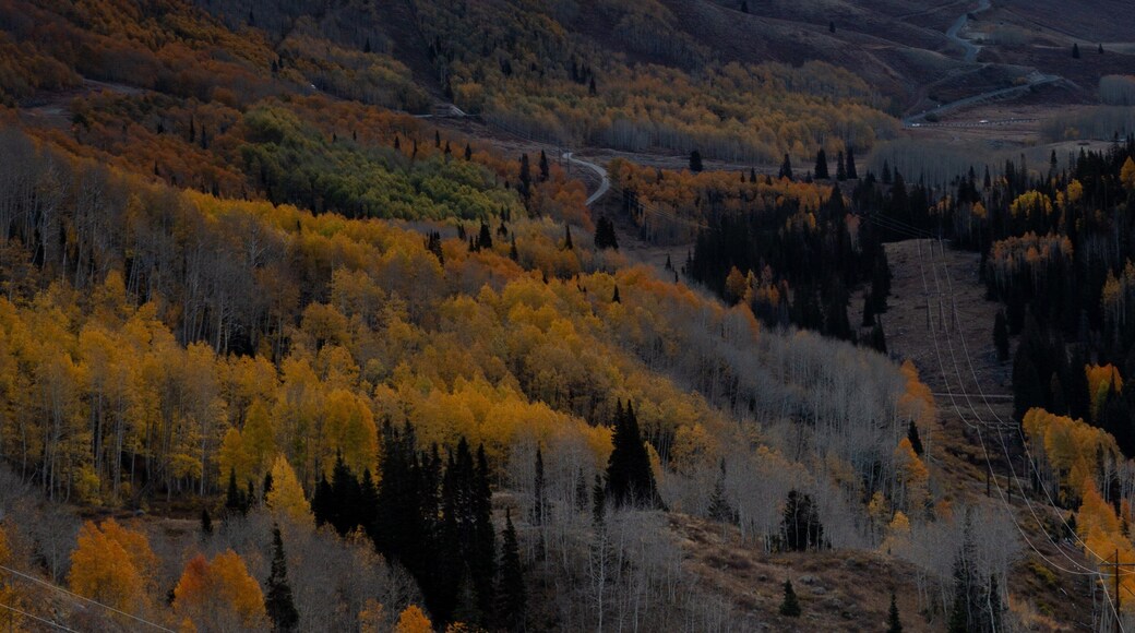 This is my favorite spot to capture sunrise