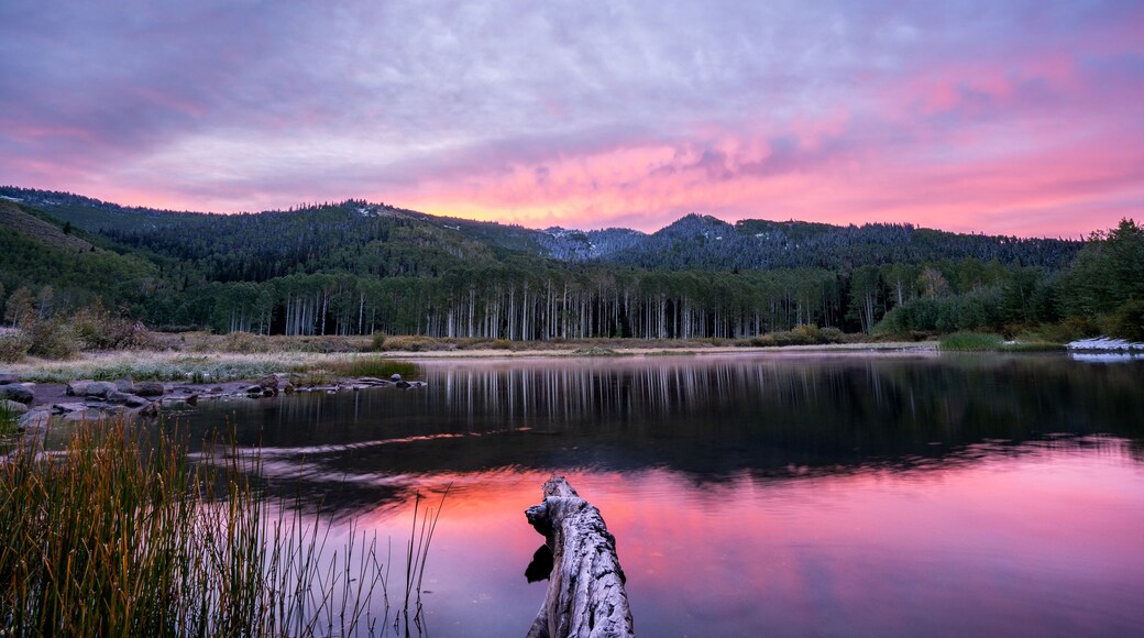 4am wake up call for an amazing hike to tone of the best sunrises I've ever seen!
#adventure #utah #sonyimages #sonyalpha #bealpha #sony