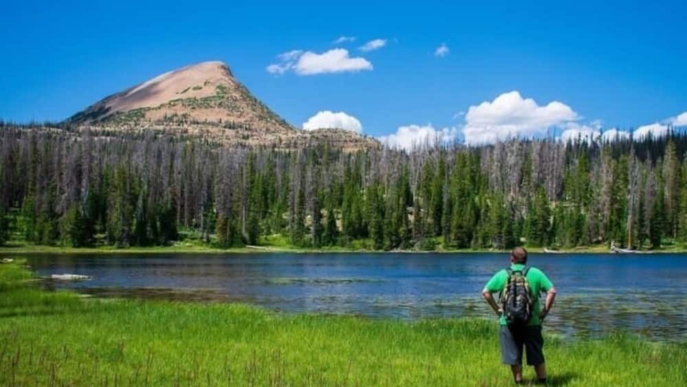 Un randonneur, un sac à dos sur le dos, se tient dans une zone herbeuse près d’un lac, avec une forêt et une montagne en arrière-plan.