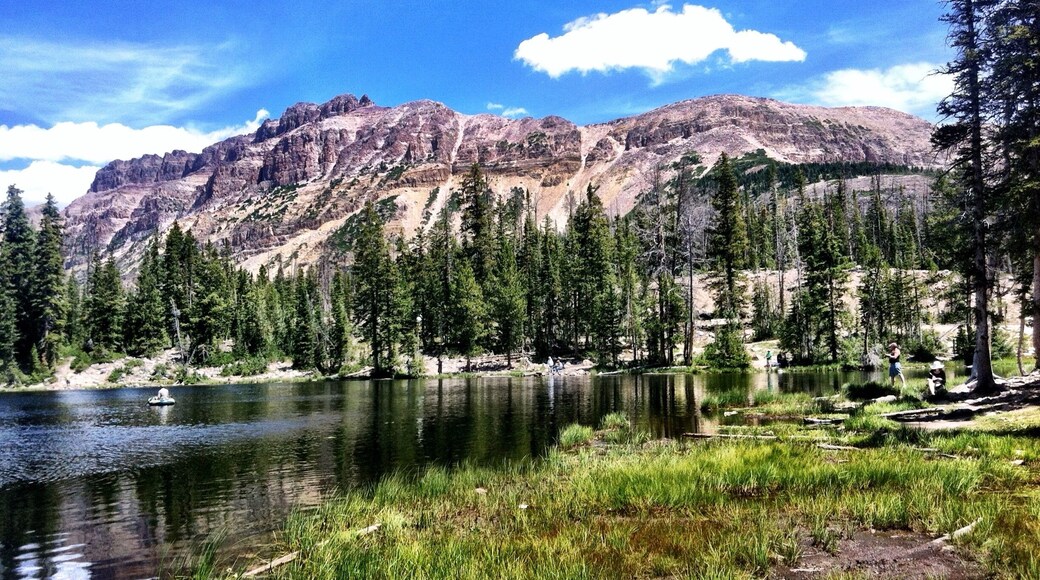 #uintamountains, one the of the most beautiful places in #utah, and a great place to escape the summer heat. Road is closed in winter.