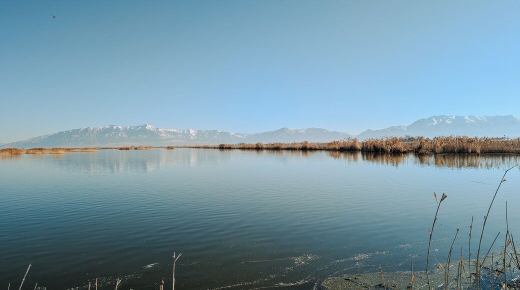Spring Landscape Views of Ogden Bay Waterfowl Management Area, Hooper Utah