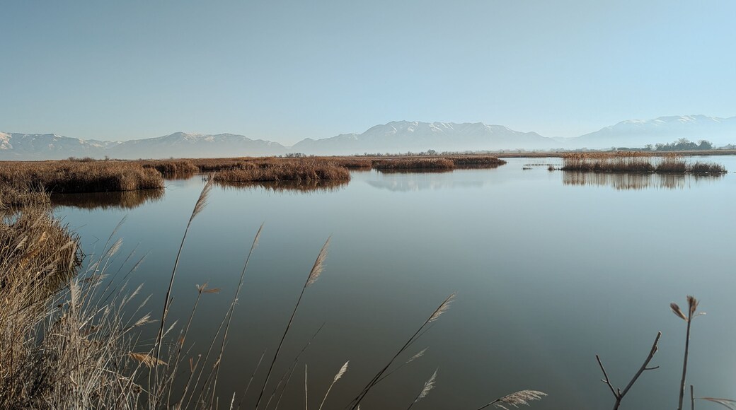 Spring Landscape Views of Ogden Bay Waterfowl Management Area, Hooper Utah