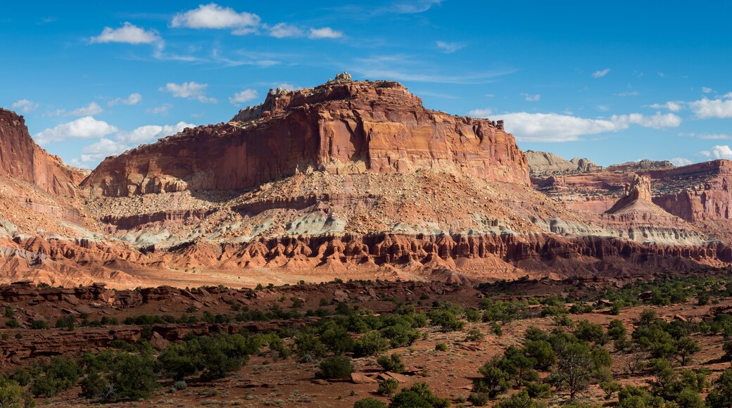 Capitol Reef National Park