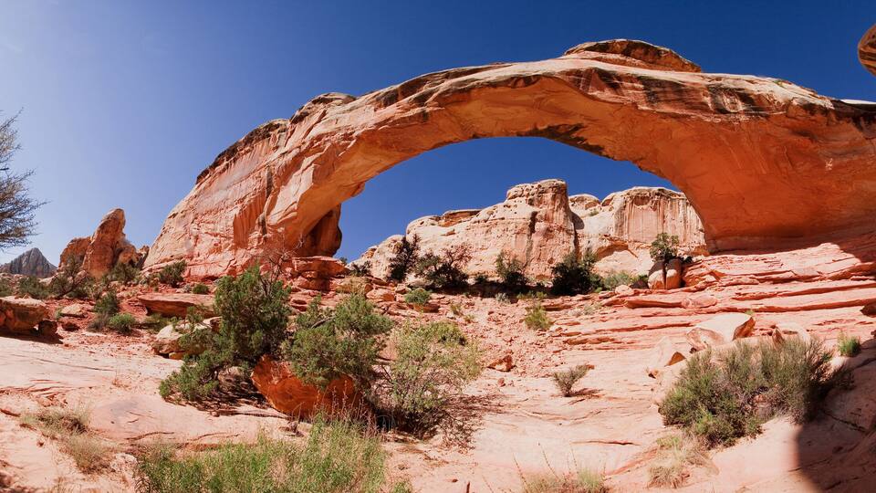 A natural rock arch formation surrounded by desert vegetation.