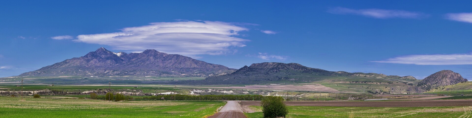 Paisaje rural con un camino de tierra que se dirige hacia una cadena montañosa.